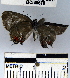  ( - YB-BCI49670)  @12 [ ] No Rights Reserved  Unspecified Unspecified
