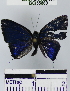  ( - YB-BCI55869)  @12 [ ] No Rights Reserved  Unspecified Unspecified