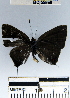  ( - YB-BCI55869)  @12 [ ] No Rights Reserved  Unspecified Unspecified