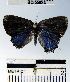  ( - YB-BCI55934)  @13 [ ] No Rights Reserved  Unspecified Unspecified