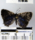 ( - YB-BCI56089)  @12 [ ] No Rights Reserved  Unspecified Unspecified