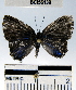  ( - YB-BCI56139)  @13 [ ] No Rights Reserved  Unspecified Unspecified