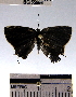  ( - YB-BCI55966)  @12 [ ] No Rights Reserved  Unspecified Unspecified