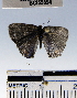  ( - YB-BCI55894)  @12 [ ] No Rights Reserved  Unspecified Unspecified