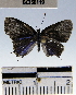  ( - YB-BCI56119)  @12 [ ] No Rights Reserved  Unspecified Unspecified