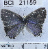 ( - YB-BCI21159)  @13 [ ] No Rights Reserved (2011) Unspecified Unspecified
