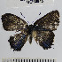  ( - YB-BCI68945)  @13 [ ] No Rights Reserved  Unspecified Unspecified