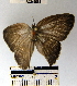  ( - YB-BCI49568)  @12 [ ] No Rights Reserved  Unspecified Unspecified