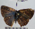  ( - YB-BCI64693)  @12 [ ] No Rights Reserved  Unspecified Unspecified