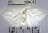  (Macara sp. 1YB - YB-BCI6801)  @11 [ ] No Rights Reserved  Unspecified Unspecified
