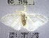  ( - YB-BCI7518)  @11 [ ] No Rights Reserved  Unspecified Unspecified