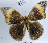  ( - YB-BCI65956)  @12 [ ] No Rights Reserved  Unspecified Unspecified