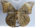  ( - YB-BCI65956)  @12 [ ] No Rights Reserved  Unspecified Unspecified