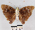 ( - YB-BCI10967)  @13 [ ] No Rights Reserved  Unspecified Unspecified