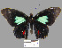  ( - YB-BCI14795)  @14 [ ] No Rights Reserved  Unspecified Unspecified