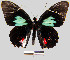  ( - YB-BCI6395)  @11 [ ] No Rights Reserved  Unspecified Unspecified