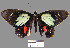 ( - YB-BCI102)  @13 [ ] No Rights Reserved  Unspecified Unspecified