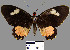  ( - YB-BCI2740)  @12 [ ] No Rights Reserved  Unspecified Unspecified