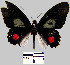  ( - YB-BCI11084)  @11 [ ] No Rights Reserved  Unspecified Unspecified