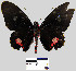  ( - YB-BCI11084)  @11 [ ] No Rights Reserved  Unspecified Unspecified