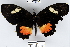  ( - YB-BCI46375)  @13 [ ] No Rights Reserved  Unspecified Unspecified