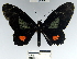  ( - YB-BCI56005)  @13 [ ] No Rights Reserved  Unspecified Unspecified