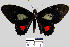  ( - YB-BCI6244)  @14 [ ] No Rights Reserved  Unspecified Unspecified