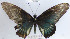 ( - YB-BCI65676)  @11 [ ] No Rights Reserved  Unspecified Unspecified