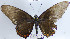  ( - YB-BCI65676)  @11 [ ] No Rights Reserved  Unspecified Unspecified