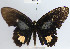  ( - YB-BCI65636)  @12 [ ] No Rights Reserved  Unspecified Unspecified