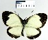  ( - YB-BCI1094)  @14 [ ] No Rights Reserved  Unspecified Unspecified