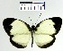  ( - YB-BCI219)  @14 [ ] No Rights Reserved  Unspecified Unspecified
