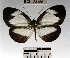  ( - YB-BCI23156)  @11 [ ] No Rights Reserved  Unspecified Unspecified
