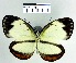  ( - YB-BCI2912)  @13 [ ] No Rights Reserved  Unspecified Unspecified