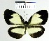  ( - YB-BCI7923)  @14 [ ] No Rights Reserved  Unspecified Unspecified