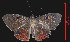  ( - YB-BCI459)  @13 [ ] No Rights Reserved  Unspecified Unspecified