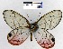  ( - YB-BCI10946)  @13 [ ] No Rights Reserved  Unspecified Unspecified