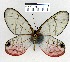  ( - YB-BCI11719)  @13 [ ] No Rights Reserved  Unspecified Unspecified