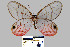  ( - YB-BCI12700)  @14 [ ] No Rights Reserved  Unspecified Unspecified