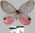  ( - YB-BCI19074)  @13 [ ] No Rights Reserved  Unspecified Unspecified