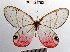 ( - YB-BCI21782)  @11 [ ] No Rights Reserved  Unspecified Unspecified