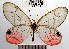  ( - YB-BCI49452)  @13 [ ] No Rights Reserved  Unspecified Unspecified