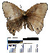  ( - YB-BCI11849)  @12 [ ] No Rights Reserved  Unspecified Unspecified