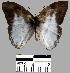  ( - YB-BCI11994)  @13 [ ] No Rights Reserved  Unspecified Unspecified