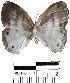  ( - YB-BCI21843)  @12 [ ] No Rights Reserved  Unspecified Unspecified