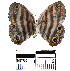  ( - YB-BCI21843)  @12 [ ] No Rights Reserved  Unspecified Unspecified