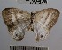  ( - YB-BCI41297)  @11 [ ] No Rights Reserved  Unspecified Unspecified