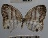  ( - YB-BCI49668)  @13 [ ] No Rights Reserved  Unspecified Unspecified