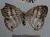  ( - YB-BCI56158)  @13 [ ] No Rights Reserved  Unspecified Unspecified