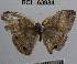  ( - YB-BCI63984)  @12 [ ] No Rights Reserved  Unspecified Unspecified